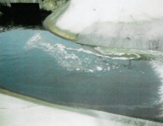 PRP applied in a contaminated spillway